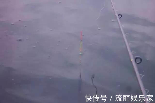 看鱼星辨别鱼种,每一位钓鱼人进阶必学技能