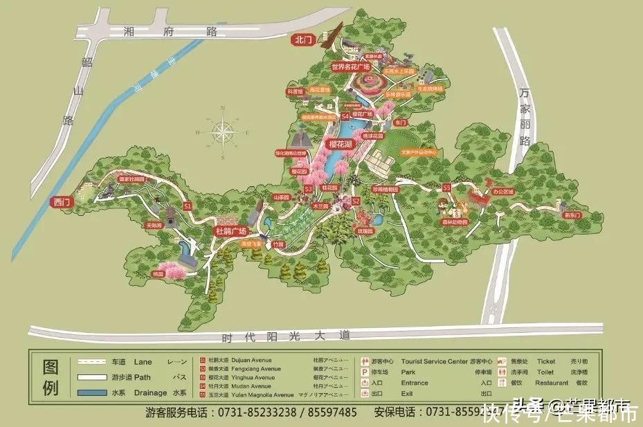 不愁没地去！长沙春节还有这些活动可以参加