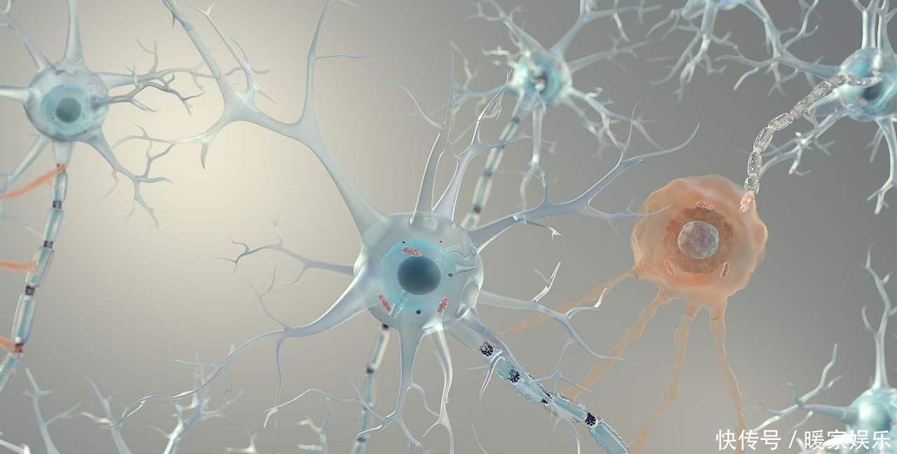 测试|韩国老年痴呆测试一分钟能找到图中的小兔,大脑还灵光着