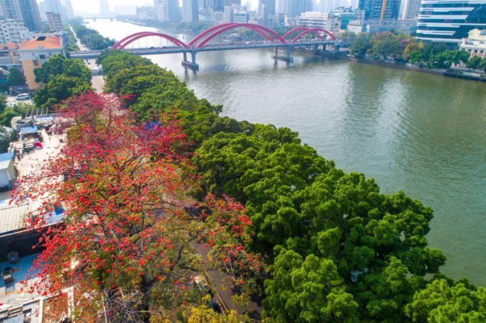 不看这组图，你就不知道花城有多美！