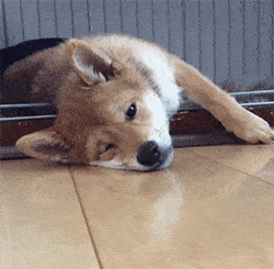 躯体|得这病不丢人!我国近1亿人患病