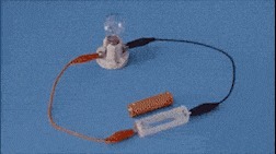 |搞笑GIF:妹子你这跳高脚怎么着地的,隔着屏幕都感觉一阵疼