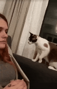 |搞笑GIF段子:一位崇拜紫霞仙子的,别说模仿的还真像