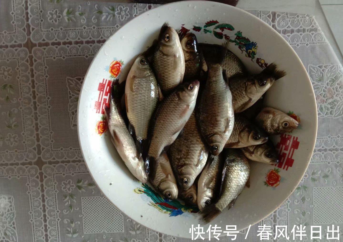 钓法|农村俗语:“大暑河边来钓鱼,巧用一招钓浮鱼”,说的是啥意思?