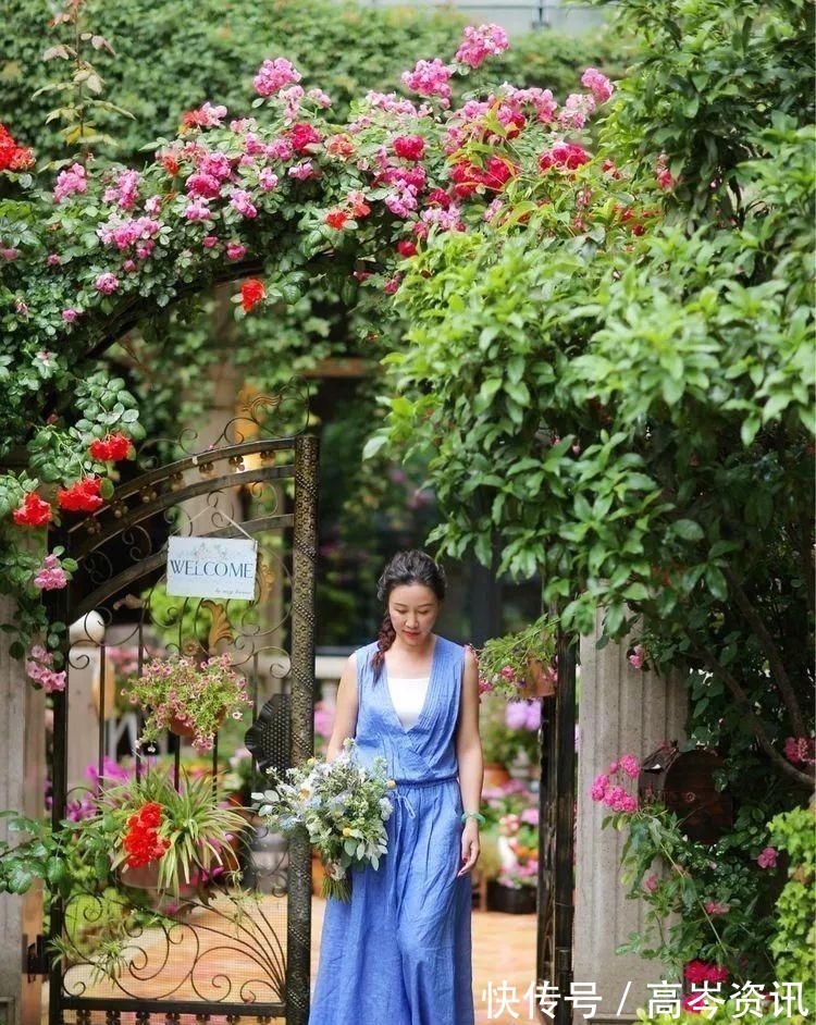 小区|坐拥270㎡大院子,她如何用五年时间,打造成了全小区最美的花园