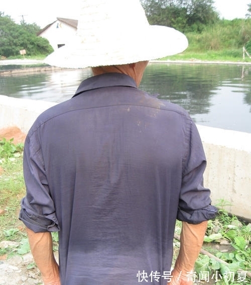 物体|为什么衣服浸了水颜色变深?