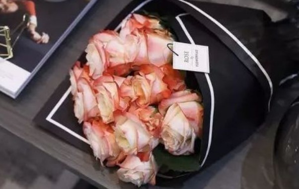 新手养花,不如养盆花中精品“歌剧”,花色渐变,花开高雅华贵