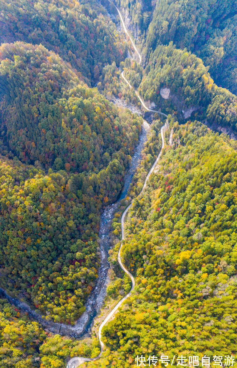 光雾山|10月这12个颜值高地，已补好了妆，将向世人“卖弄”最美一面