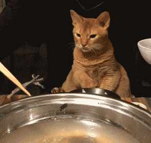 |搞笑动图:家有懒狗一只,谁要领走吧!