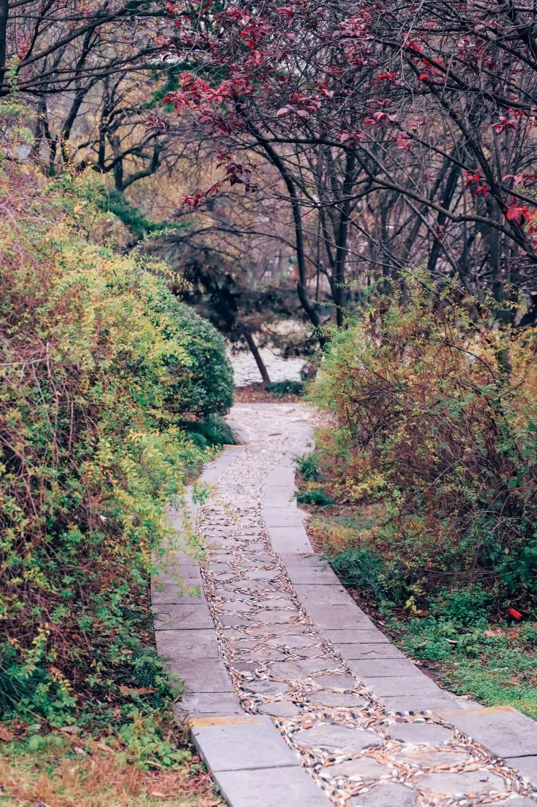 冬天的植物园，才不是你想的那样！