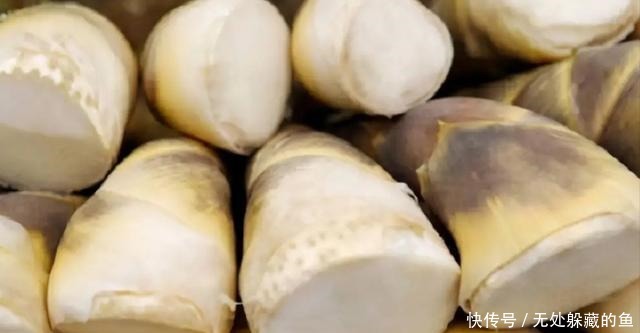 买竹笋时，挑粗的好还是长得好差别大了，别搞错了