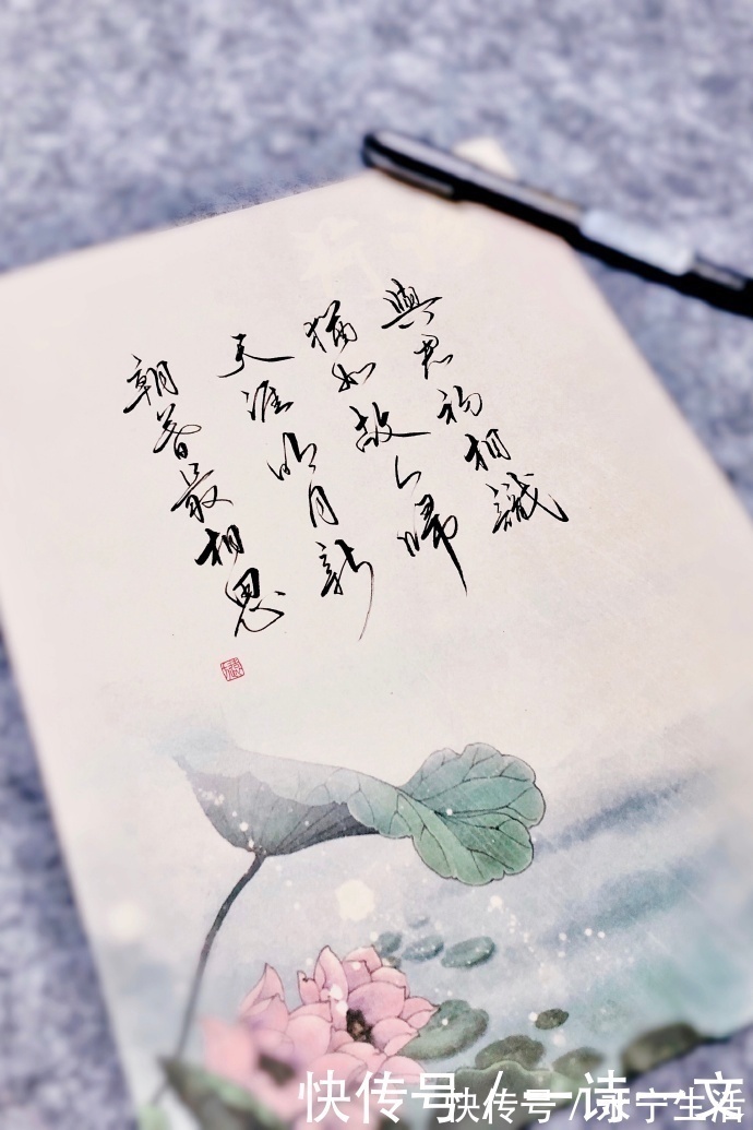 人生|既然人类微渺得如同一只蜉蝣,那么人生须臾,不如绽放