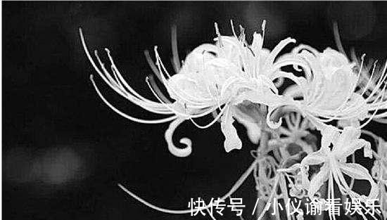 甘草&江湖上的“蒙汗药”到底是啥药?不但真实存在,其解药更是神奇了