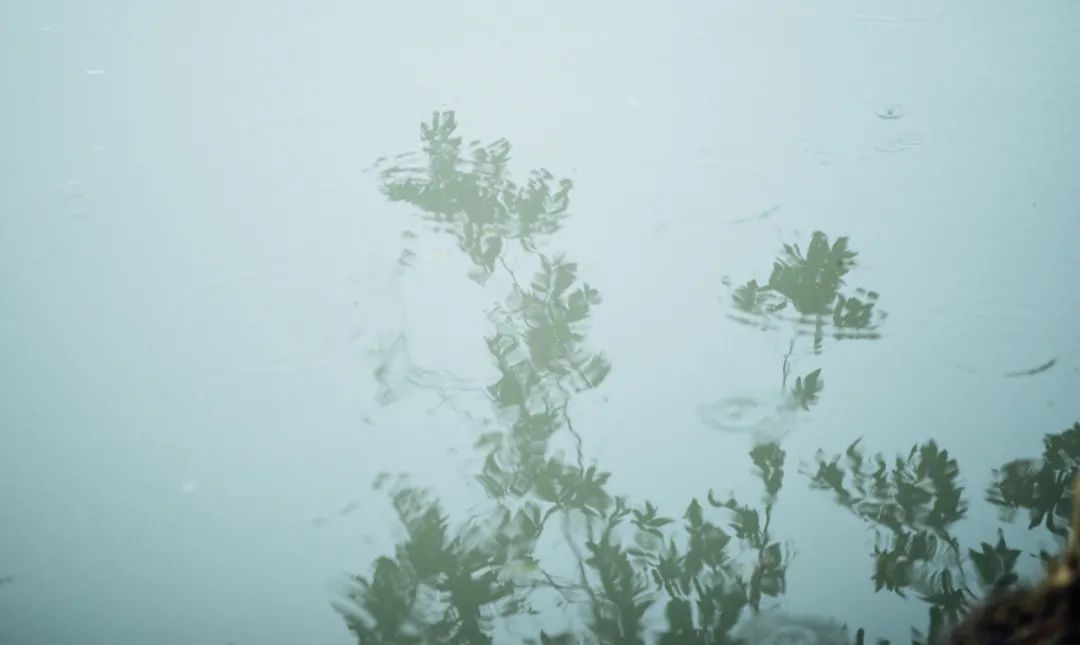 天青色等烟雨，宁波美到你！