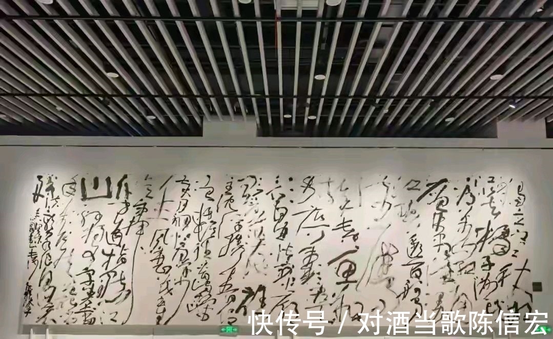 张芝@他们四位能代表当代狂草的最高水平吗?网友评价:像小孩涂鸦!