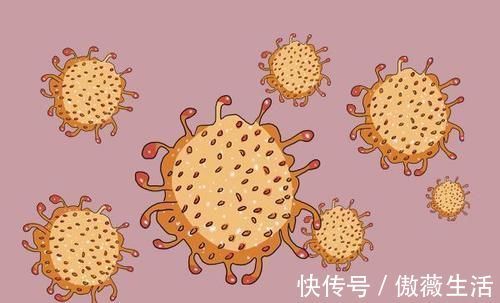 日本女性|为啥日本女人,很少会得妇科疾病?她们的生活方式,值得我们学习