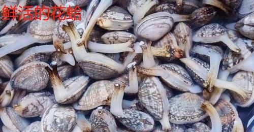 花蛤怎样炒最好？要不要过水？