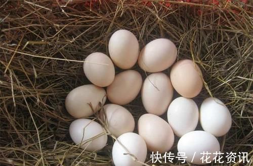 芹菜炒豆芽|聪明人喜欢吃3种食物,营养丰富、延缓衰老,好吃又不贵!