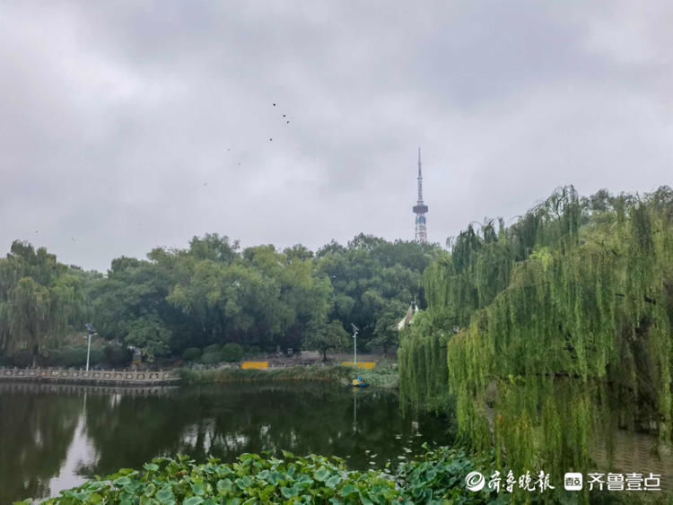 小雨淅沥不停，济南泉城公园美如丹青！雨中漫步悠闲舒适|情报站| 小雨