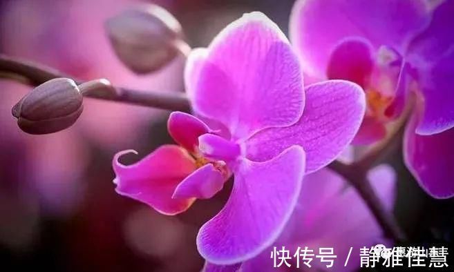 养生|两个养生黄金期,一个是睡前,一个竟是…99%的人都不知道!