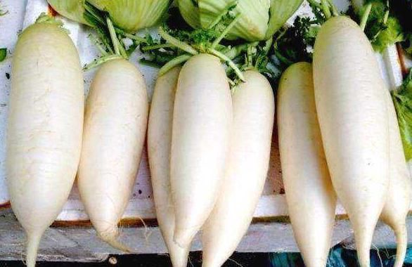 偏方|白萝卜补肾偏方一治一个准,强腰补肾益健康,为健康值得了解
