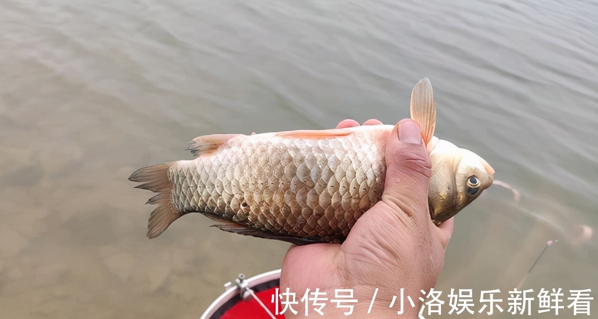 秋末冬初何时出钓大鲫鱼?抓住这几种天气