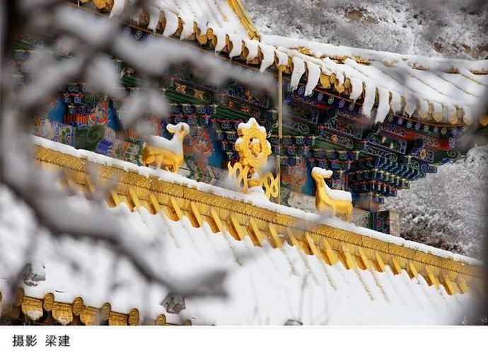 卧龙|在卧龙寺，听雪落下的声音