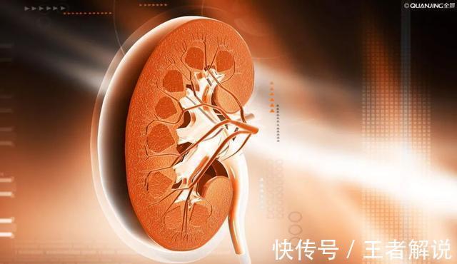 养肾|“三白”伤肾,建议少碰,“二红”养肾,不妨常吃,肾或给你点赞