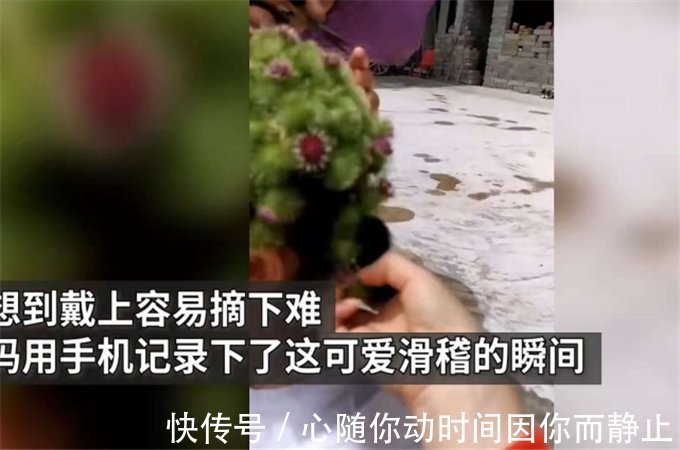 自制|女孩自制“牛蒡皇冠”，戴上时洋洋得意，摘下时哭着向奶奶求救