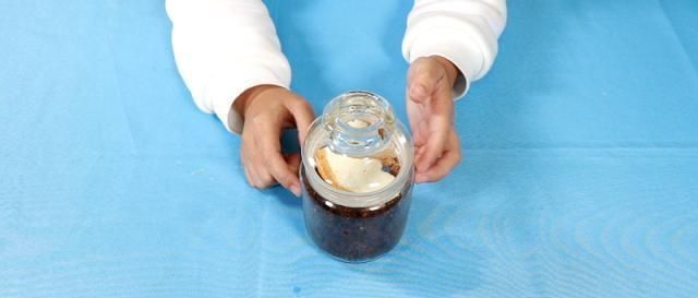 过期面包别扔掉了,这几个厉害用途,学到就是赚到