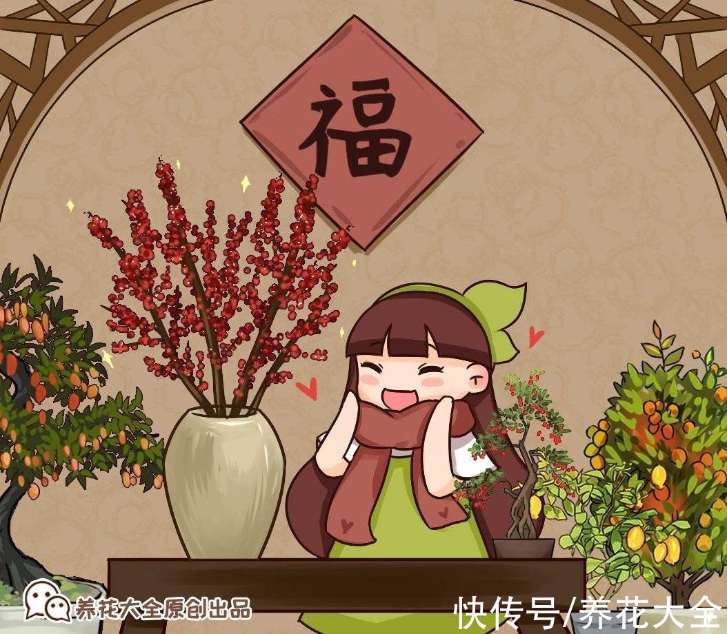 过年都在扎堆买的年宵花，先别急着跟风，先了解下好不好养