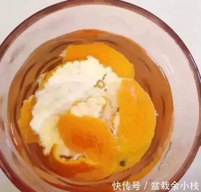 盆土|盆里灌点饮料,盆土疏松有营养,10年不用换土花也长得旺