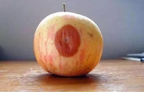 五味子|肝不好不可以吃南瓜？医生提醒：肝脏损伤，“2种”食物需要少吃