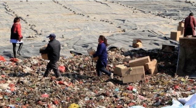 农村俗语“羊随大群不挨打,人随大流不挨罚”,还有道理吗