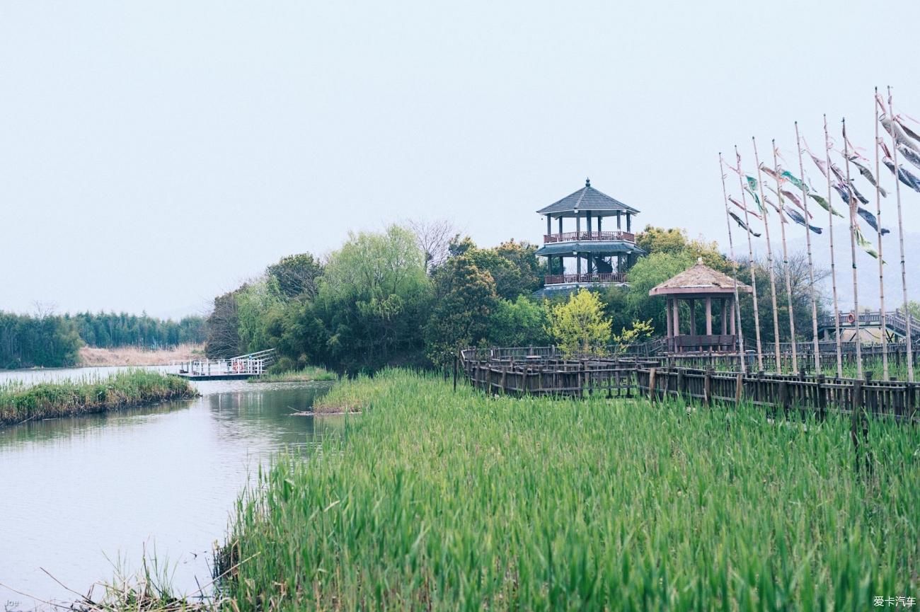 浙江德清下渚湖国家湿地公园环境很美，花美，人美，都很美