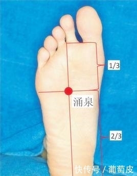 关元穴|人体有10个“超级穴位”,每个都是一味名贵中药,内附高清大图