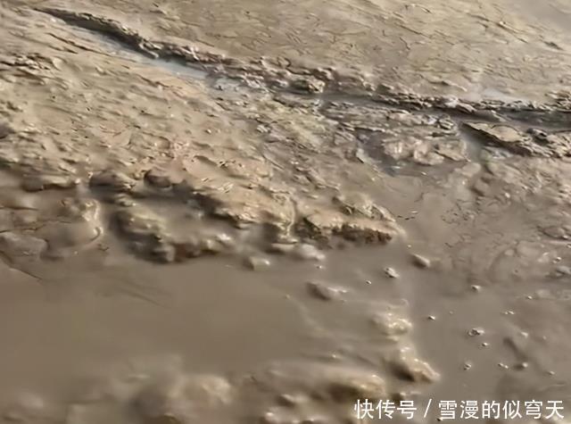 学会|野生甲鱼难找不难钓,学会这两招,一找一个准