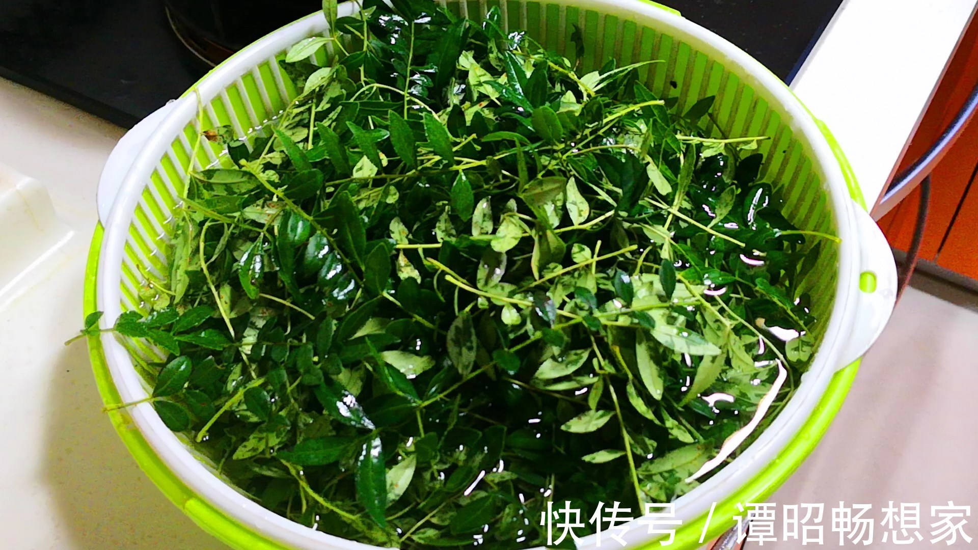 9月,此叶再不吃就过季了,风味独特,一块钱能买2斤,咋做都香