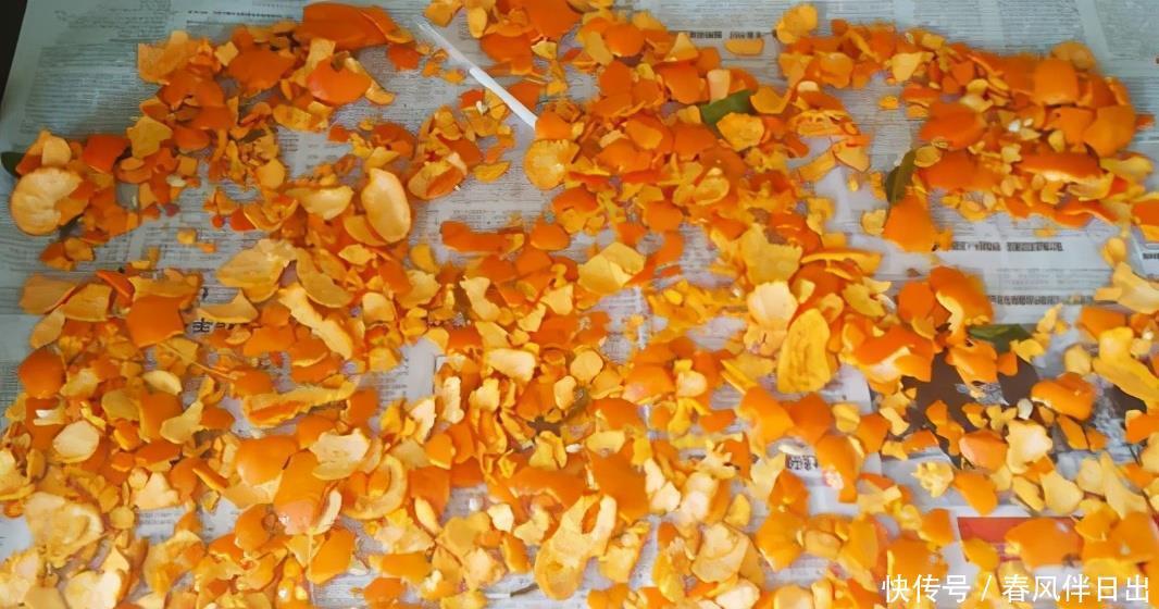 橘子皮别乱扔,教你一招做成花肥,拿来养花比买的肥还好使