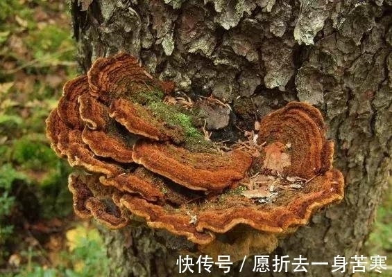 致癌|我们每天都在吃的东西，竟然是被国家列入第一致癌清单！