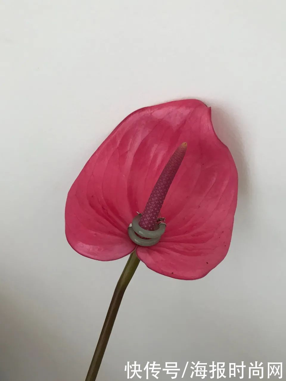 醉象|编辑部｜本周的编辑推荐，就俩字儿——实用