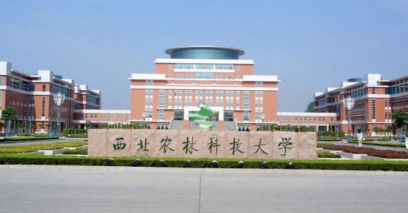 中国唯一建在小县城的985大学！实力强劲却比211还好考，考上就赚