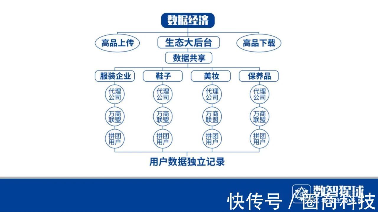 企业数智化升级，赋能高效管理|数智猩球| 企业