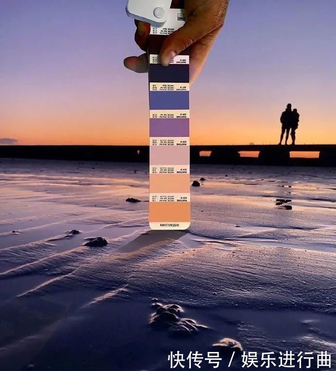 参考|配色参考|INS博主超有趣的自然高级配色!插画设计存起来!