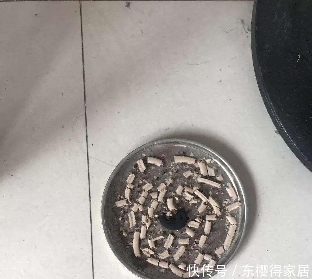 土壤|你还在用杀虫剂驱虫吗植物会中毒的,学会6个方法,虫子跑光光