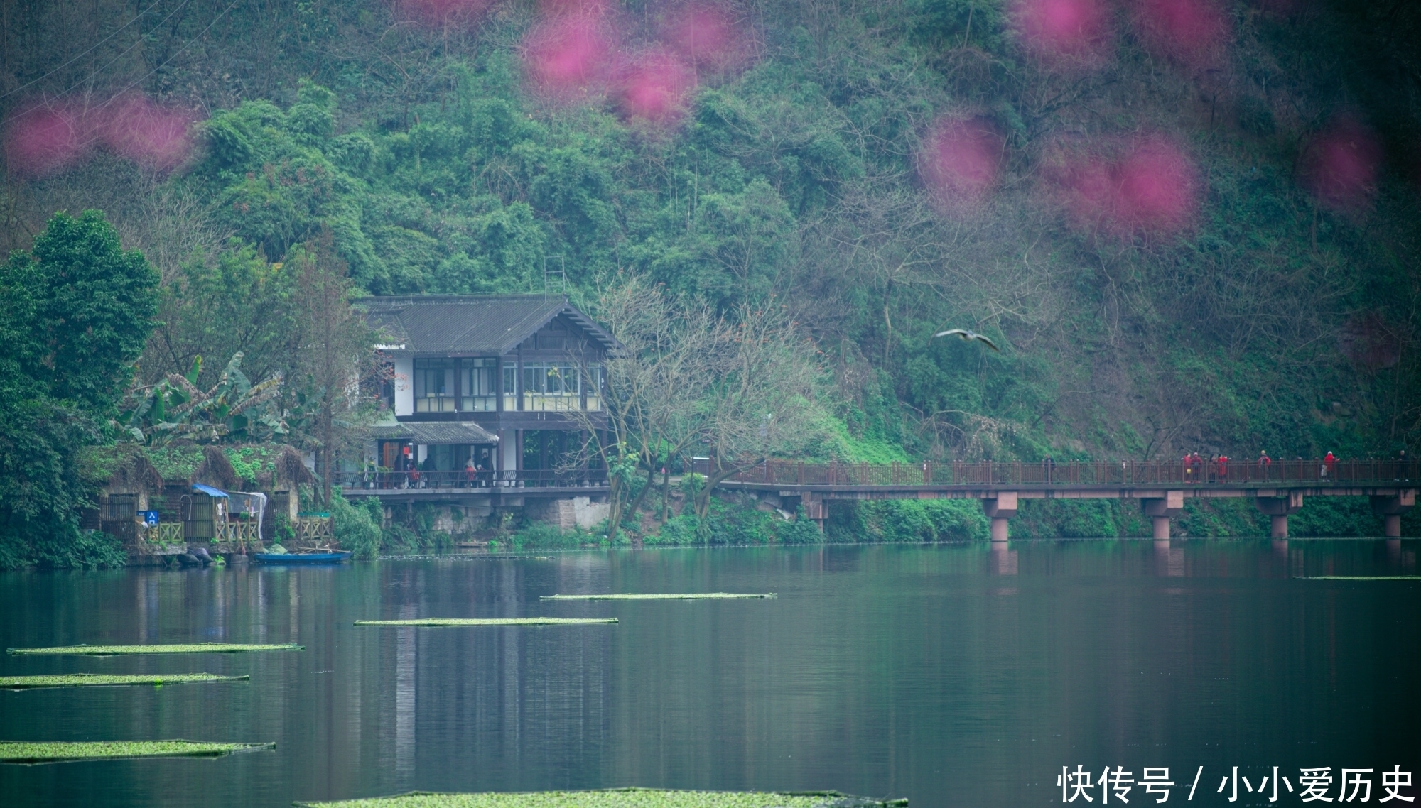 踏青重庆第一个国家级湿地公园彩云湖，桃之夭夭灼灼其华，太美了