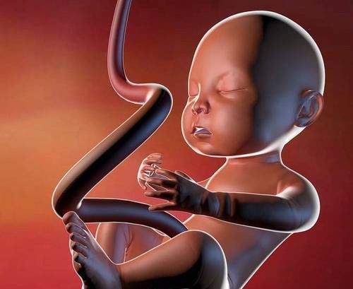 规律|胎儿什么时候长得最快?摸清他的生长的规律,孕妈只会更轻松