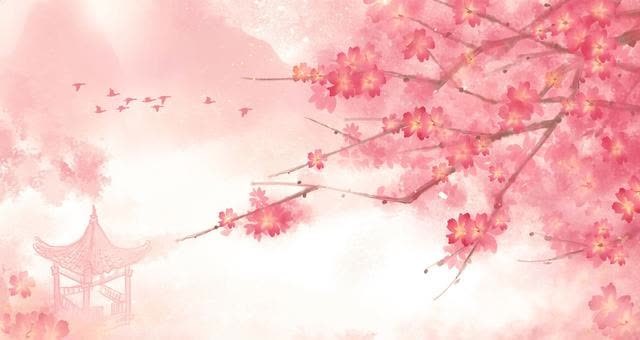 女人!真正有气质的女人,都有这几个特征