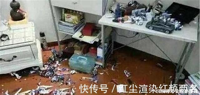 丽丽|孩子玩坏儿天价手办,家长实力护娃拒绝赔偿:你就想讹钱