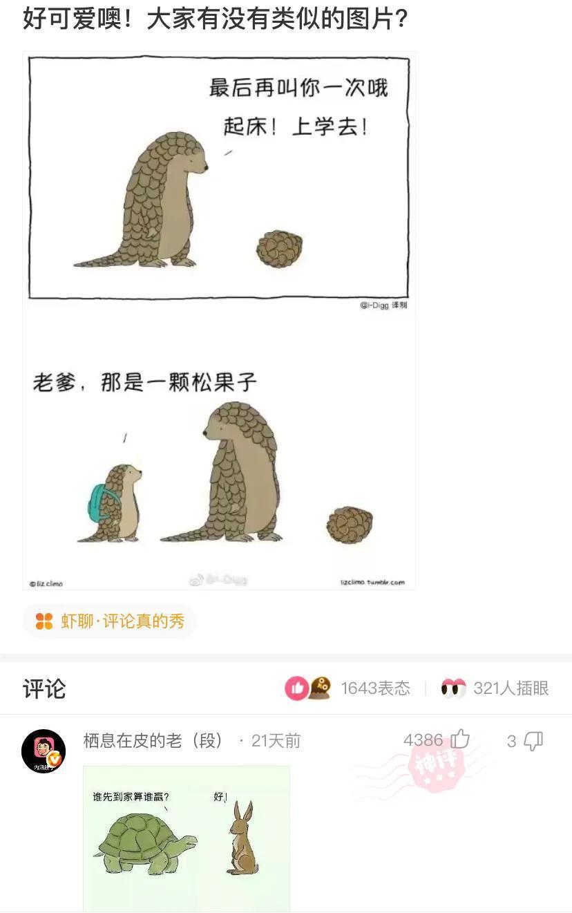 |神评段子合集:罗老师这种专门讲课的律师,真正打官司的水平怎么样?